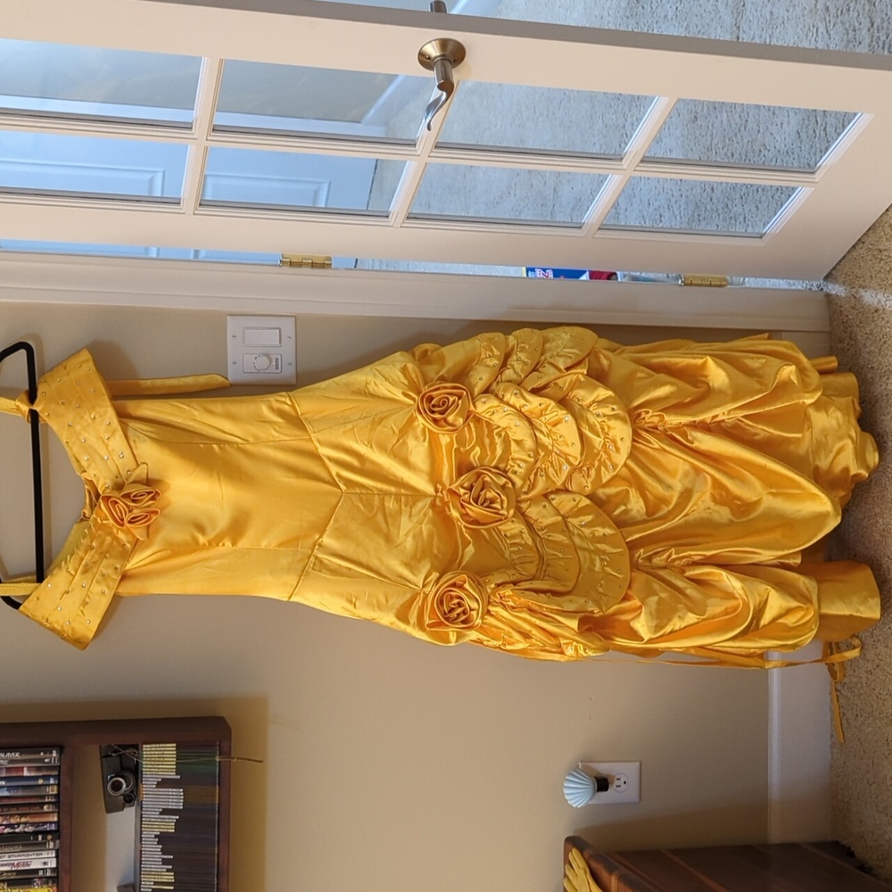Belle dress